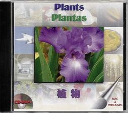 Retail Box cover Rainbow Stock Photo Plants/Plantas.